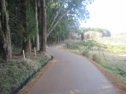 農村周遊自転車ルート整備事業 桜井地区 舗装工事