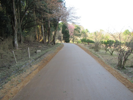 農村周遊自転車ルート整備事業 桜井地区 舗装工事