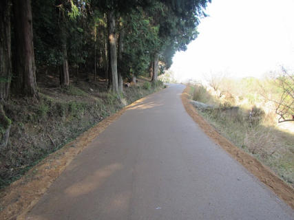 農村周遊自転車ルート整備事業 桜井地区 舗装工事