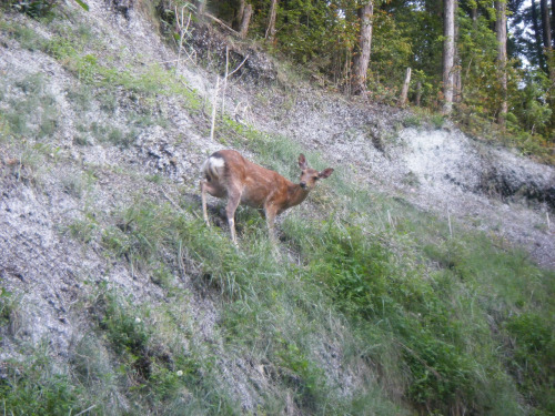 DSCF6507.JPG