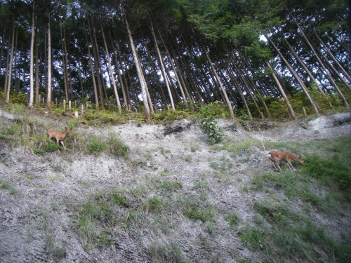DSCF6508.JPG