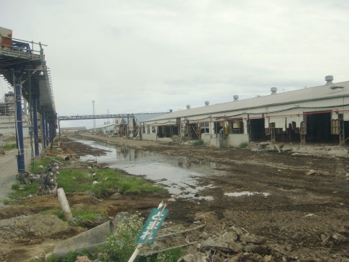20110720_14-1.jpg