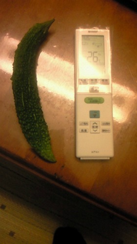 20110811_3.jpg