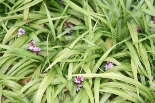 20111110_2.jpg