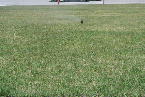 20120427_1.jpg