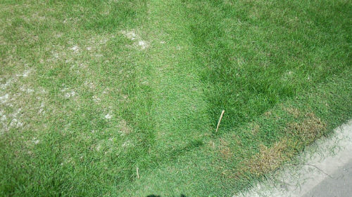 20120516_2.jpg