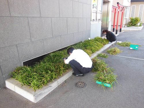 20140519_1.JPG