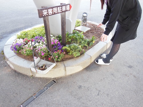 20140519_2.JPG