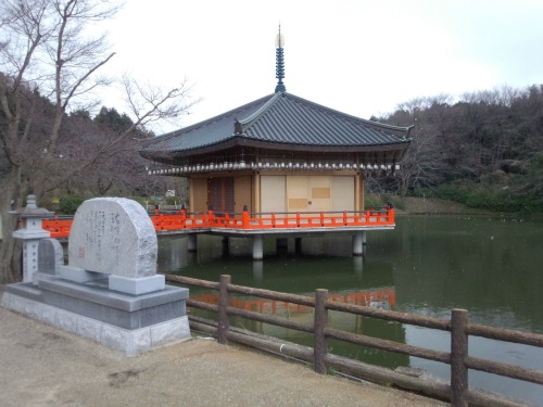 20120208_2.jpg