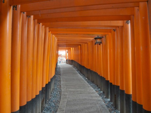 20120214_2.jpg