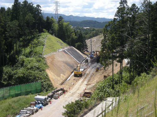 2010904_2.JPG