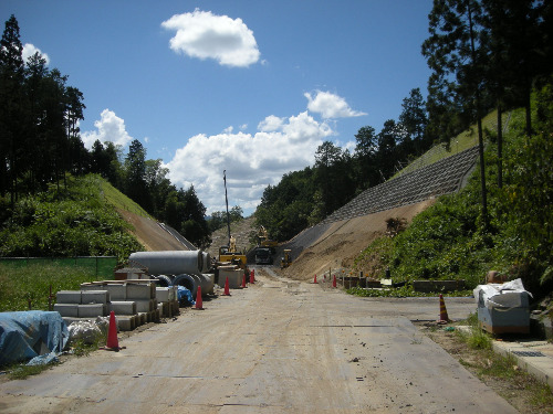 2010904_4.JPG