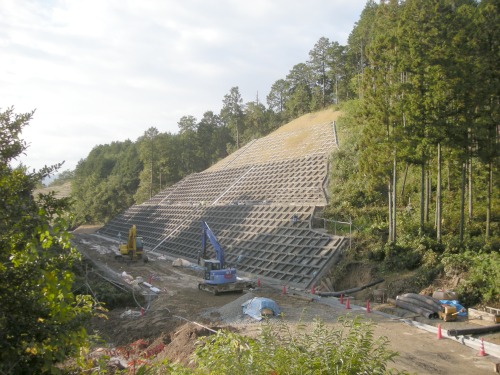 20101102_1.JPG