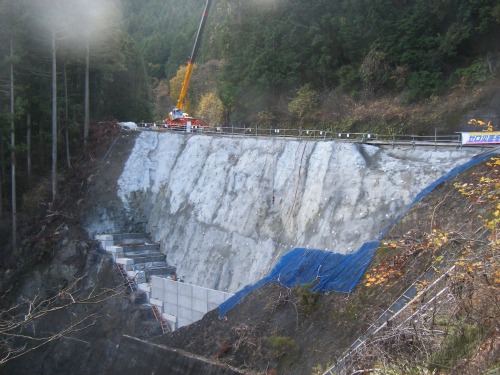 20101210_1.JPG