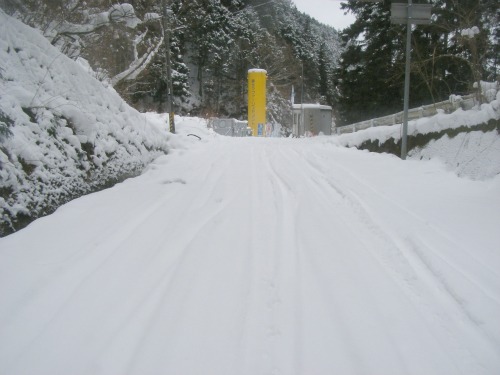 20110201_1.jpg