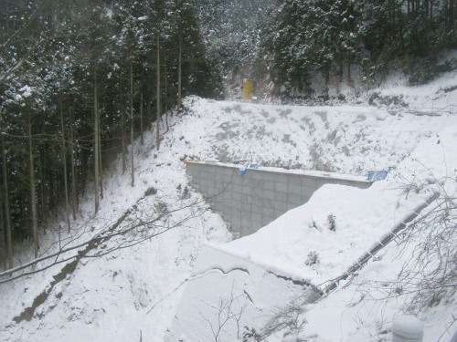 20110201_3.jpg