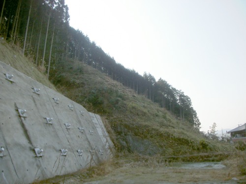 20110208_3.JPG