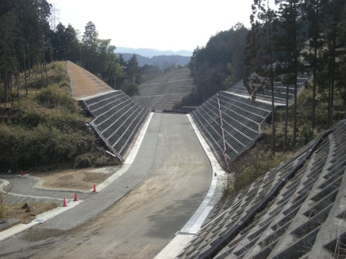 20110308_5.jpg
