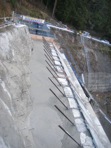 20110309_6.jpg