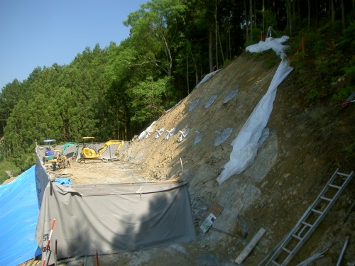 20110518_2.jpg