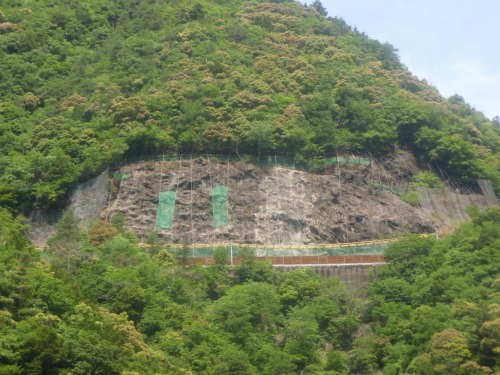20110610_3.jpg