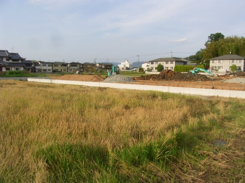 20110617_1.jpg