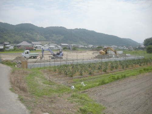 20110702_3.jpg