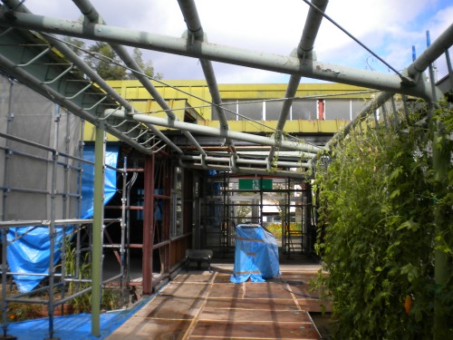 20111006_2.jpg