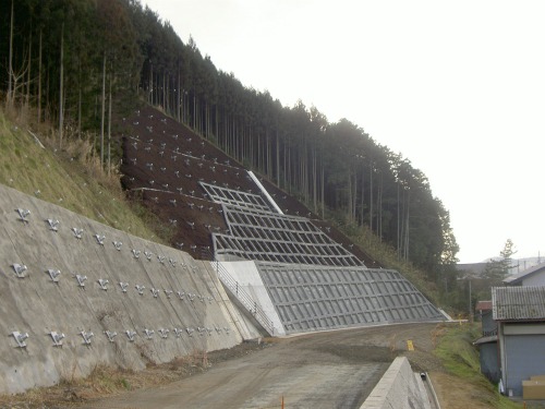 20120202_1.jpg