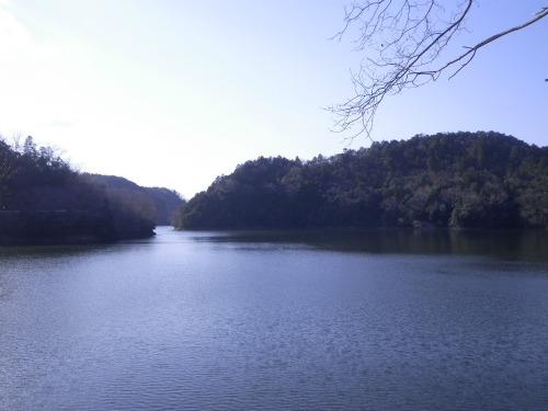 20120316_1.jpg