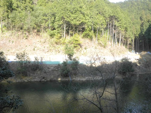 20120316_2.jpg