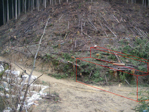20120424_1.jpg