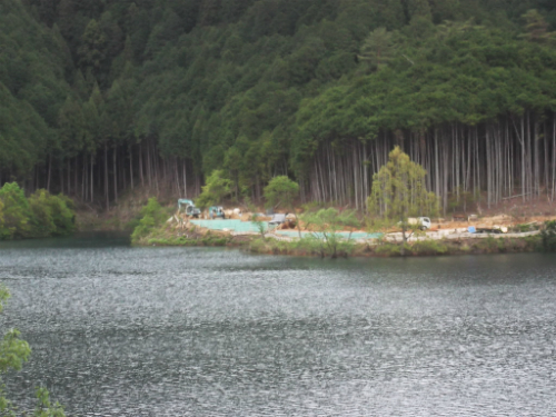 20120501_2.jpg