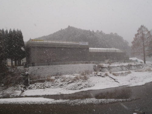 20130111_4.jpg