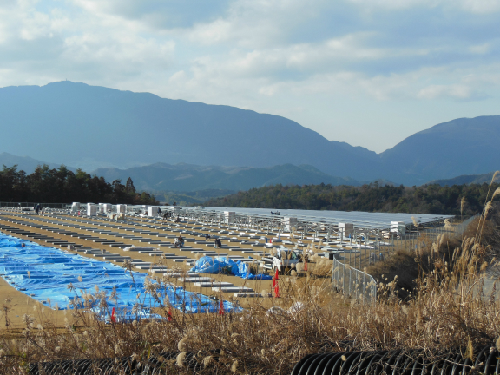 20130124_6.jpg