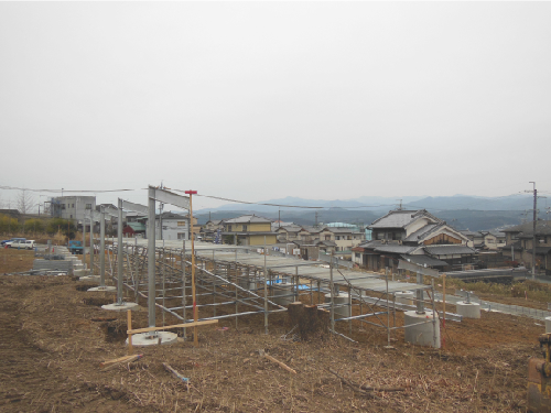20130205_1.jpg