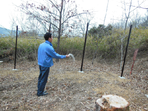 20130226_3.jpg