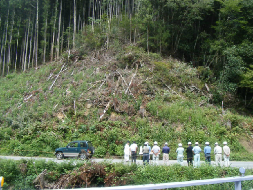 20130819_2.jpeg