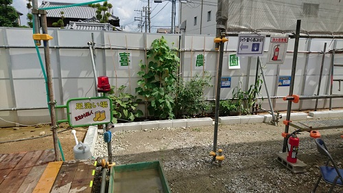 20160714_4.JPG