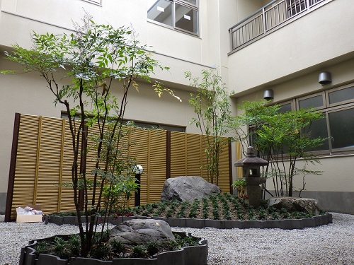 20160719_4.JPG