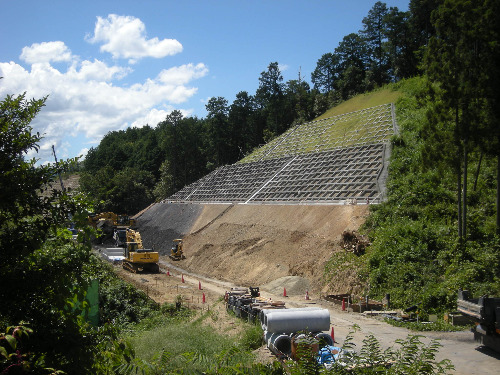 2010904_3.JPG