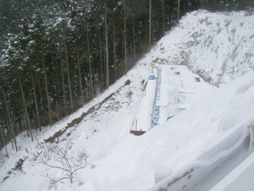 20110201_2.jpg