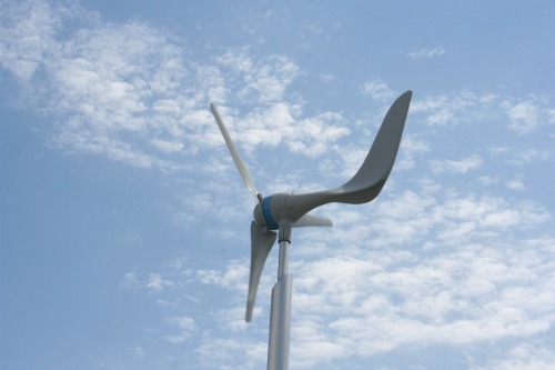 20110601_2.jpg