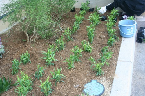 20120317_1.jpg
