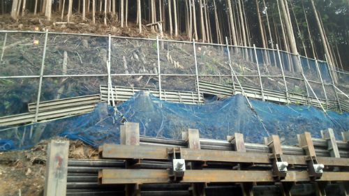 20120508_4.jpg