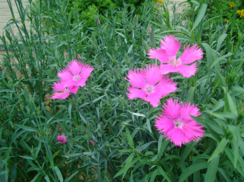 20120514_1.jpg