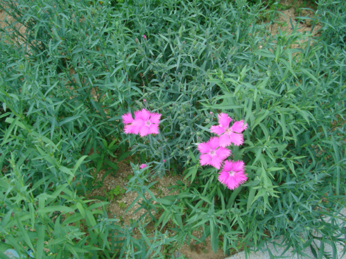 20120514_2.jpg