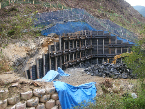 20120605_4.jpg
