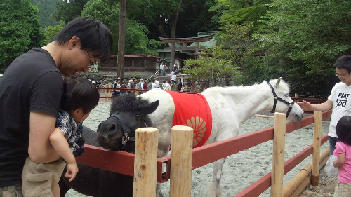 20130601_4.jpeg