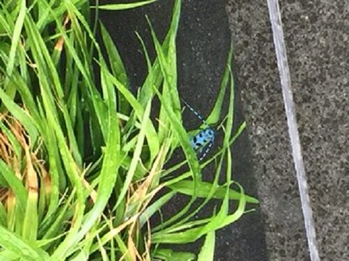 20150625_1.jpg